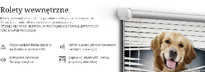 Store intérieur Chien d'or