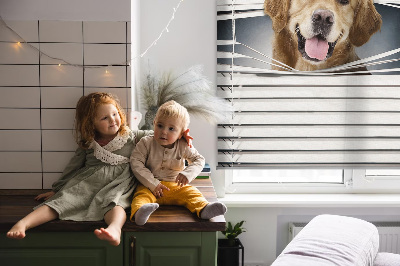 Store intérieur Chien d'or