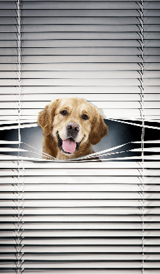 Store intérieur Chien d'or