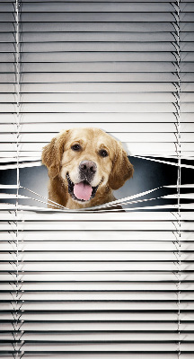 Store intérieur Chien d'or