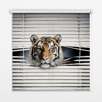 Store enrouleur Tigre