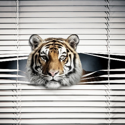 Store enrouleur Tigre