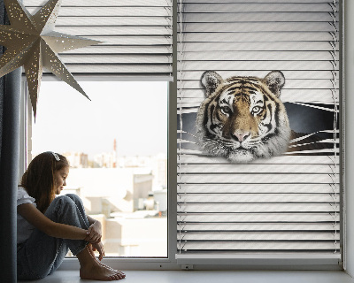 Store enrouleur Tigre