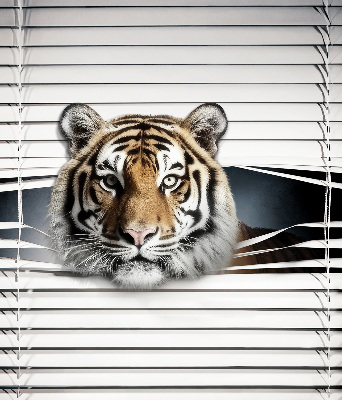 Store enrouleur Tigre