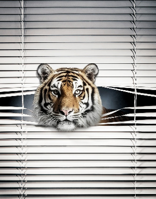 Store enrouleur Tigre