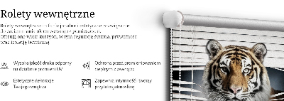 Store enrouleur Tigre