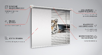 Store enrouleur Tigre