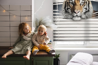 Store enrouleur Tigre