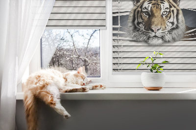 Store enrouleur Tigre