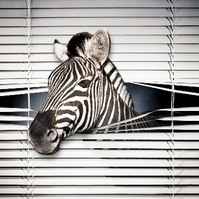 Store intérieur Côtes