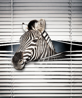 Store intérieur Côtes