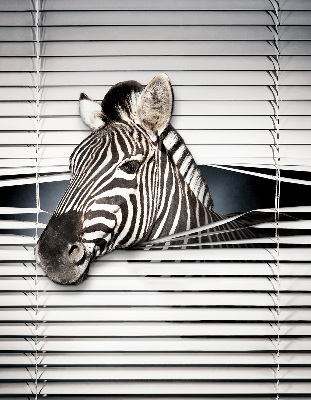 Store intérieur Côtes