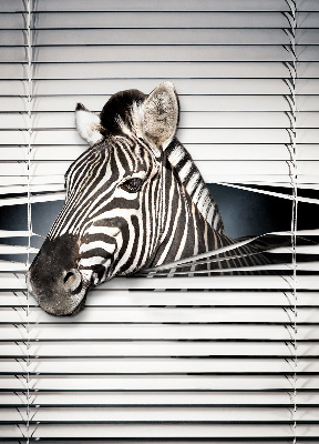 Store intérieur Côtes