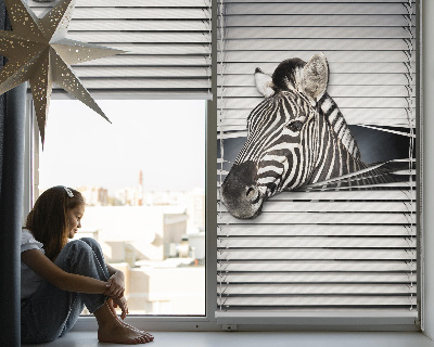 Store intérieur Côtes