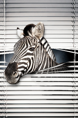 Store intérieur Côtes