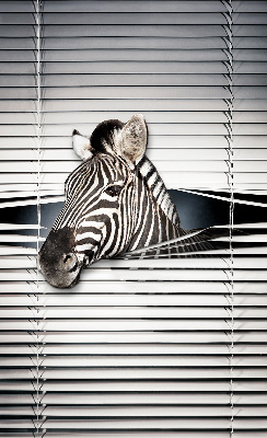 Store intérieur Côtes