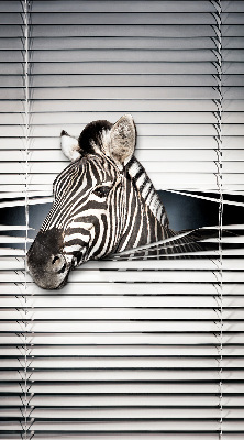 Store intérieur Côtes