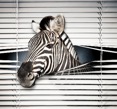 Store intérieur Côtes