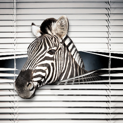 Store intérieur Côtes