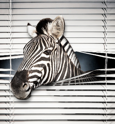 Store intérieur Côtes