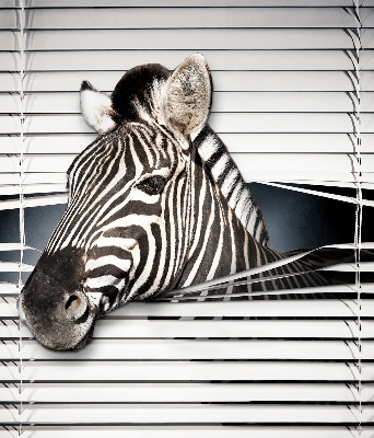 Store intérieur Côtes