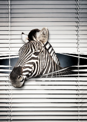 Store intérieur Côtes