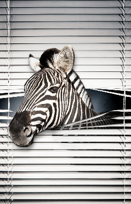 Store intérieur Côtes