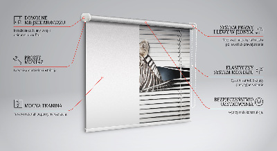 Store intérieur Côtes