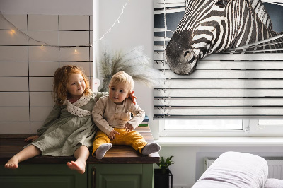 Store intérieur Côtes