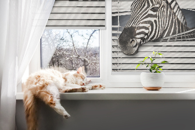 Store intérieur Côtes