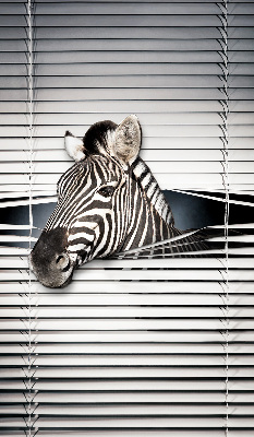 Store intérieur Côtes