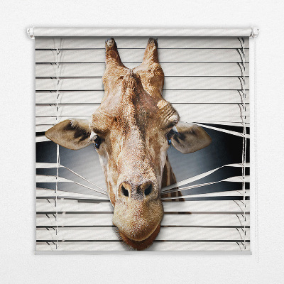 Store enrouleur Girafe