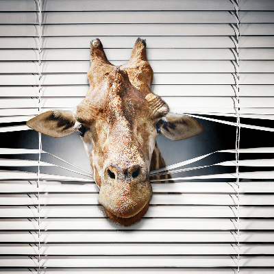 Store enrouleur Girafe