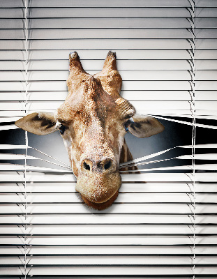 Store enrouleur Girafe