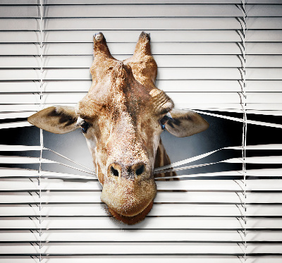 Store enrouleur Girafe