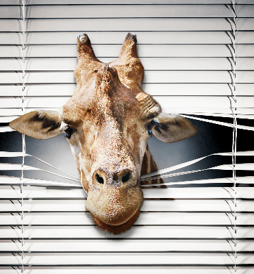 Store enrouleur Girafe