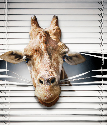 Store enrouleur Girafe