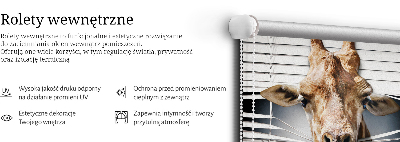 Store enrouleur Girafe