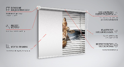 Store enrouleur Girafe