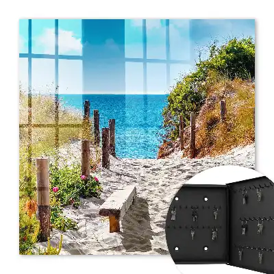Sentier côtier en bord de mer