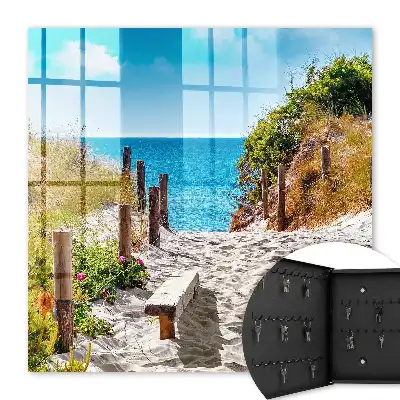 Sentier côtier en bord de mer