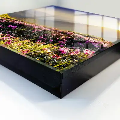 Tableau lever de soleil sur la montagne
