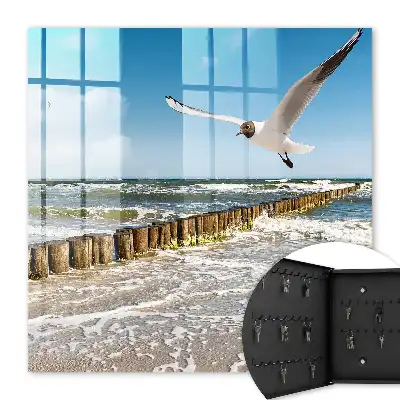 Tableau paysage marin avec mouette sur la plage