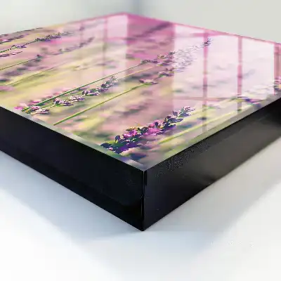 Un jardin violet par une journée d'été