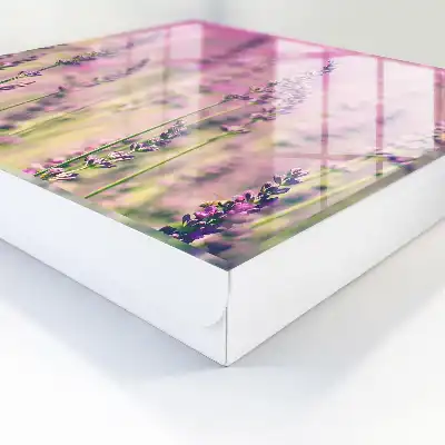 Un jardin violet par une journée d'été