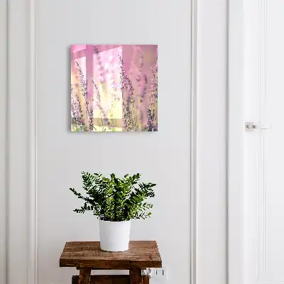 Un jardin violet par une journée d'été