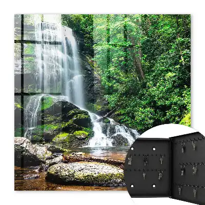 Une oasis naturelle de verdure luxuriante