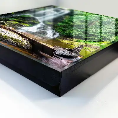 Une oasis naturelle de verdure luxuriante