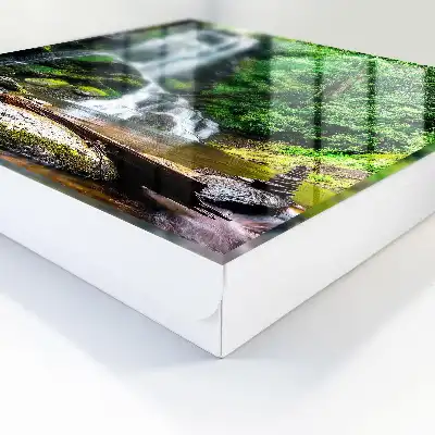 Une oasis naturelle de verdure luxuriante
