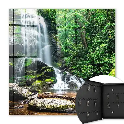 Une oasis naturelle de verdure luxuriante